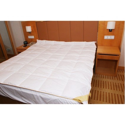 Одеяло Arya Natural Line 195x215 Selvina